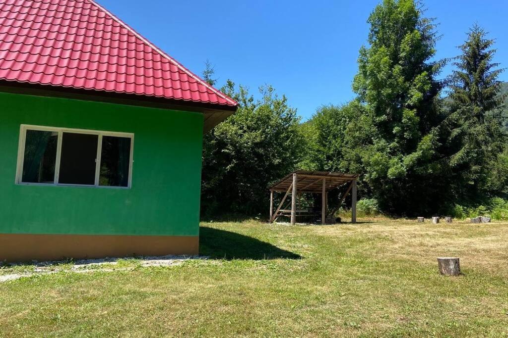 The Green House - Apuseni Mountains Pietroasa  Exterior photo